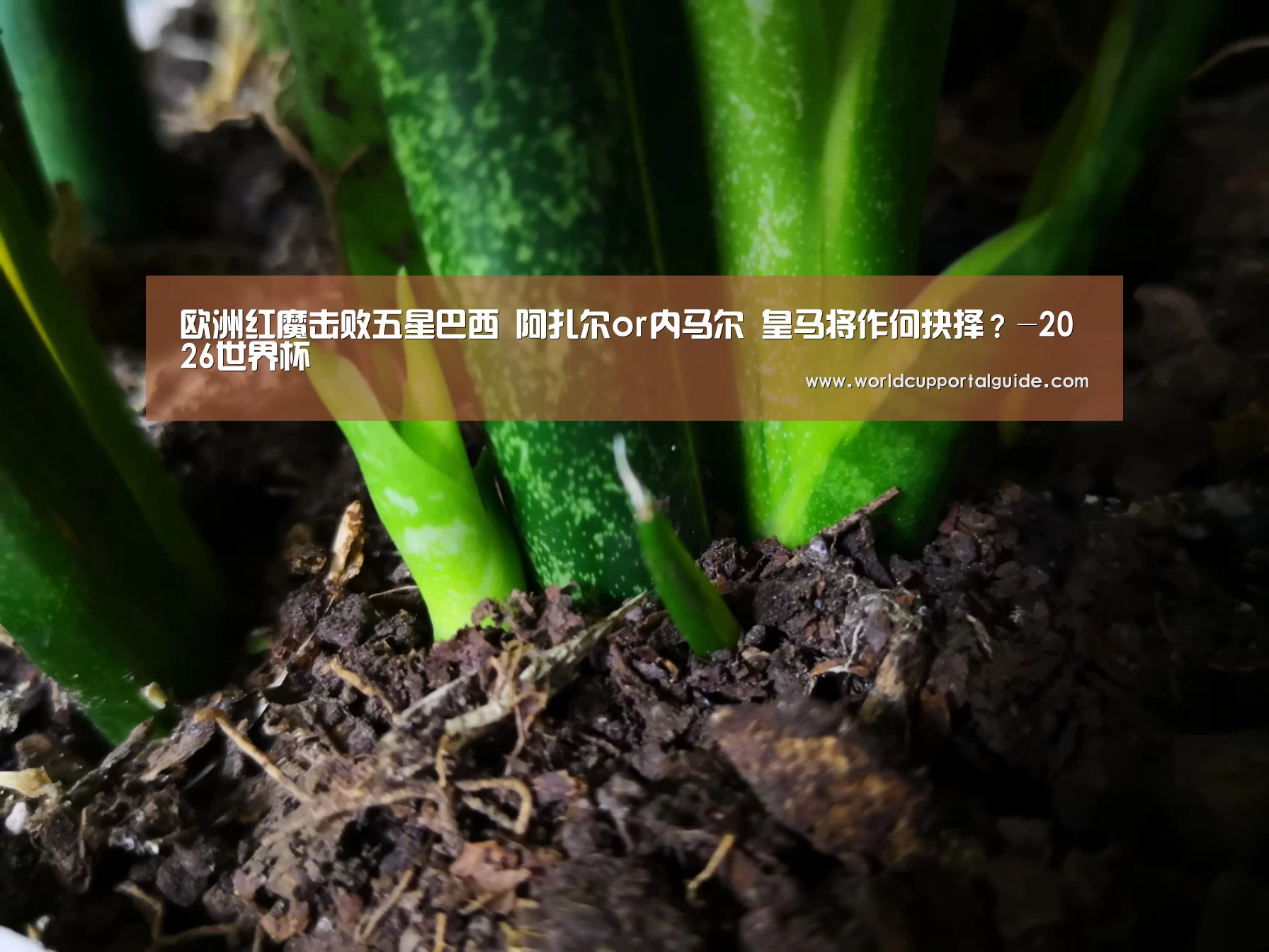 欧洲红魔击败五星巴西 阿扎尔or内马尔 皇马将作何抉择?-2026世界杯(图2) 世界杯买球网站