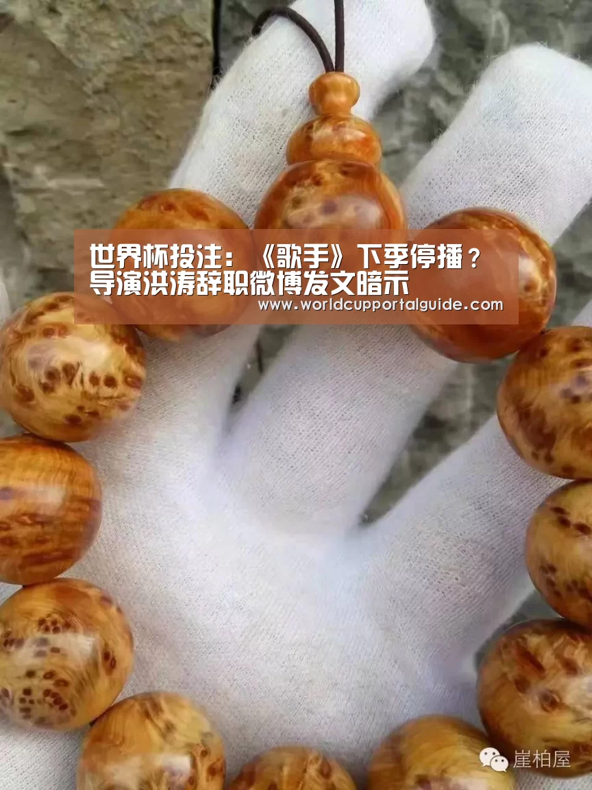 世界杯投注:《歌手》下季停播?导演洪涛辞职微博发文暗示(图1) 世界杯投注