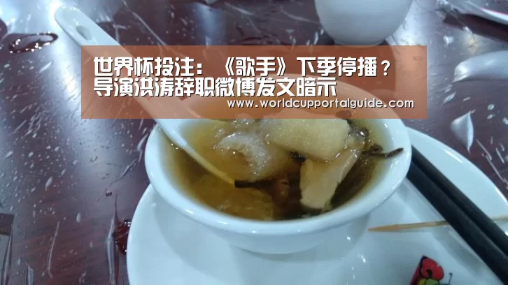 世界杯投注:《歌手》下季停播?导演洪涛辞职微博发文暗示(图2) 世界杯外围买球