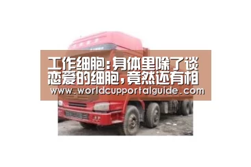 工作细胞:身体里除了谈恋爱的细胞,竟然还有相爱相杀的兄弟-世界杯买球网站(图1) 世界杯买球网站