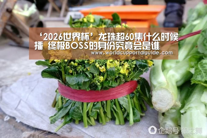 世界杯投注