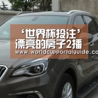 世界杯买球网站